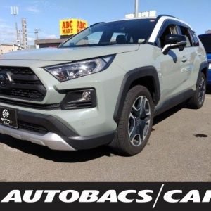2019 Toyota RAV4 4WD
