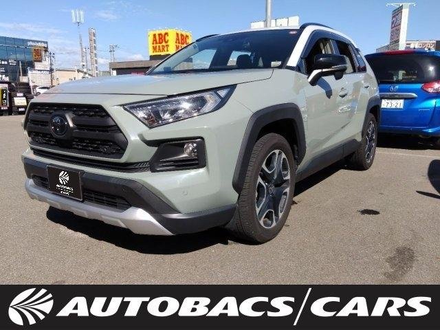 2019 Toyota RAV4 4WD