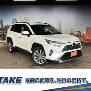 2019 Toyota RAV4 4WD